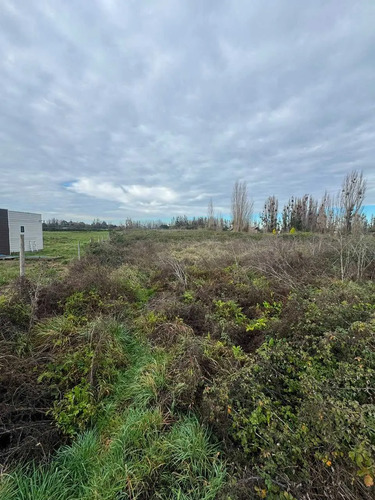 Parcela De 5000m2 En Portal Quillon  (175523)