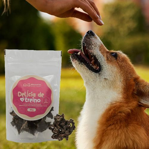 Petisco Natural Treino Coração Bovino 60g