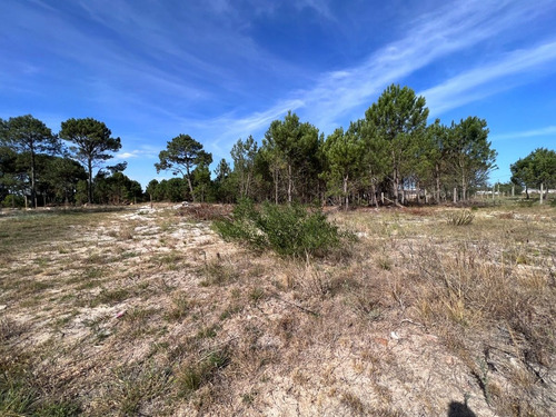 Imagen 12 de 12 de Venta Terreno Lomas De Solymar Canelones