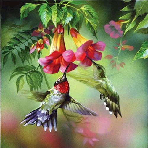 A Kit De Pintura Con Diamantes 5d Flores Y Colibris 30x30cm