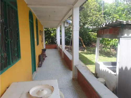 Venta Finca Productiva Montenegro Pueblo Tapao - 11 Cuadras