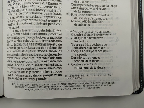 Biblia Nbla Letra Gigante Tamaño Manual Imit. Piel Negra