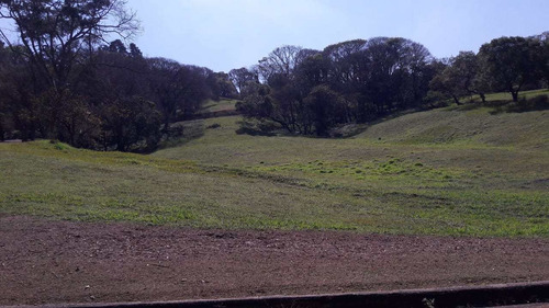 Imagem 7 de 7 de Terreno De Condomínio, Condomínio Voturuna, Santana De Parnaíba - R$ 850 Mil, Cod: 235375 - V235375