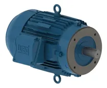 Comprar Motor Weg Trif. W22 Ir3 Premium 0.33cv 4p 220\u002F380v 60hz B14d