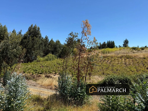 Parcela En Venta En San Nicolás   Chillán