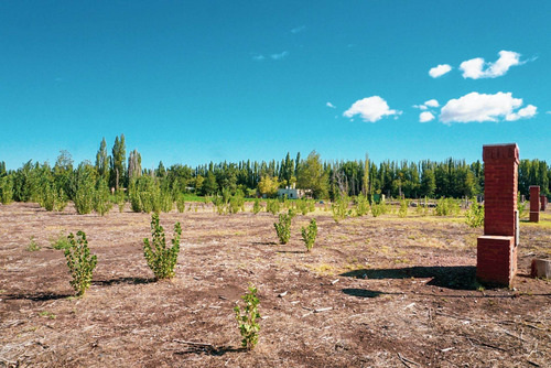 Imagen 12 de 26 de Terreno 1.000 M2 - B° Rincon De Natalia - Plottier