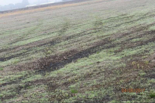 Imagen 9 de 9 de Campo En Venta En Chacabuco