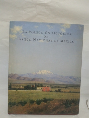 La Colección Pictorica Del Banco Nacional De México B211r