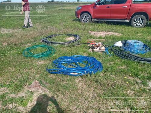 Imagen 8 de 26 de Chacra En Venta En San Nicolas De Los Arroyos - Plantación De Nuez Pecan En Producción