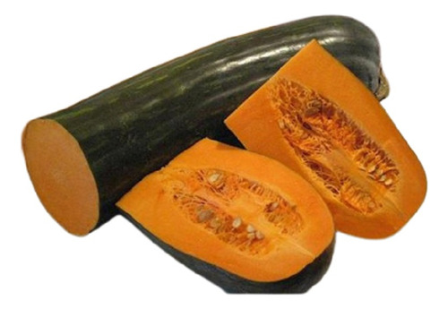 Calabaza Largo De Napoles Extradulce X 10 Semillas