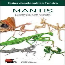 Comprar Mantis - Guias Desplegables Tundra: Introducción A Las Especies Ibéricas, Baleares Y Canarias, De Hernandez,victor J.. Editorial Tundra Ediciones, Tapa Blanda En Español, 2023