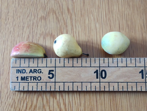 Adornos Frutas Miniatura X 36 (Usado)