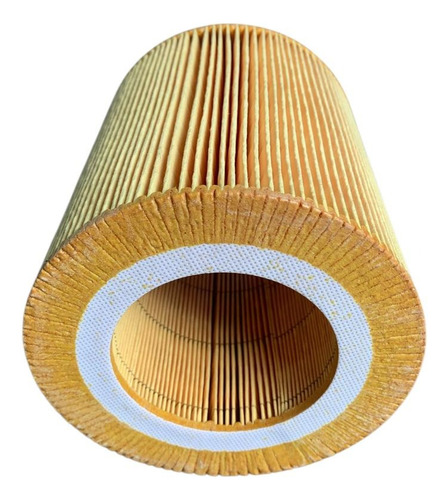 Filtro De Aire C1250 Mann Filter