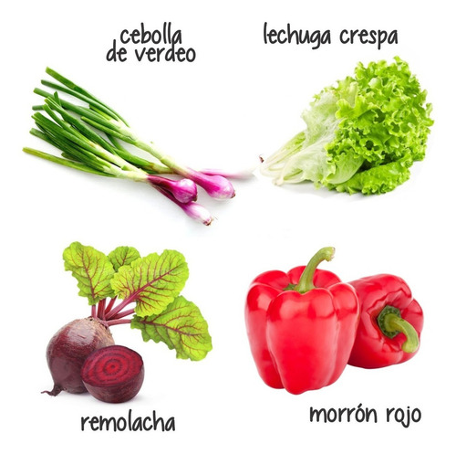 Super Combo Semillas! Huerta Primavera - Verano!