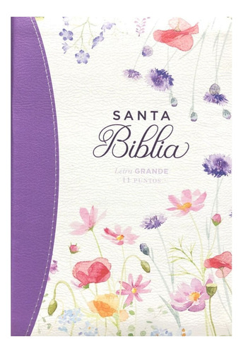 Biblia Letra Grande Violeta Con Cierre Reina Valera 1960