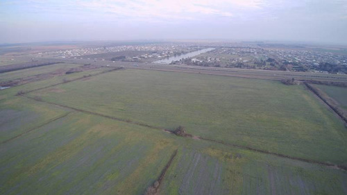 Excepcional Parcela De Campo De 16 Has. Ubicada Sobre Autopista Rosario - Córdoba ( A La Altura De Roldán) - Pcia De Santa Fe