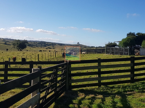 Imagen 5 de 14 de Campo En Carapé Maldonado, 267 Hás Con Casa