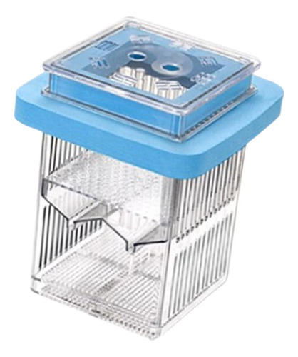 Mãe Fish Incubator Aquário Incubador Azul