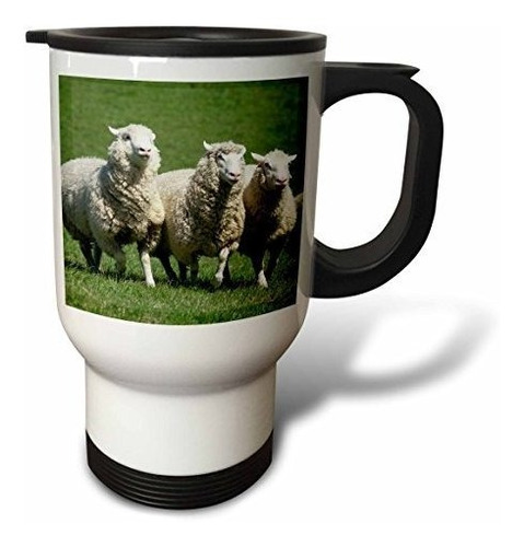 3drose Taza De Viaje  Romney Flock Of Sheep, Nueva Zelanda D