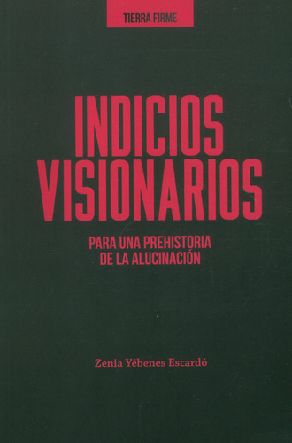 Indicios Visionarios Para Una Prehistoria De La Alucinacion, De Yébenes Escardó, Zenia. Editorial Universidad Del Rosario, Tapa Blanda, Edición 1 En Español, 2021