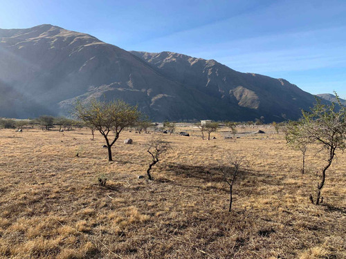 Imagen 12 de 14 de Venta 1hectareas 5907,75m2 Barcena Sobre Ruta