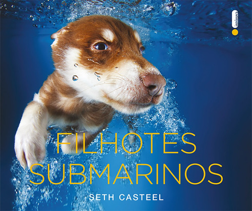 Filhotes submarinos, de Casteel, Seth. Editora Intrínseca Ltda., capa mole em português, 2015
