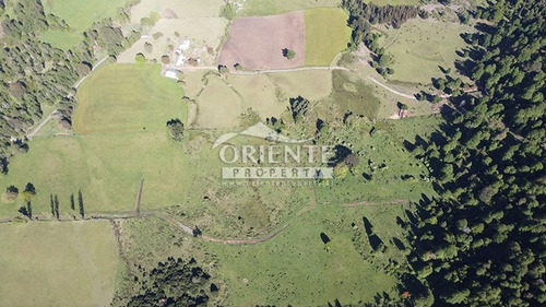 Vive En Un Paraíso Natural En Malalcahuello
