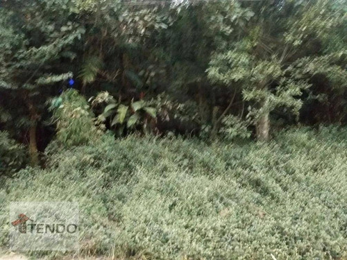 Imagem 8 de 17 de Terreno 790 M² - Venda - Jardim Santista (santa Luzia) - Ribeirão Pires/sp - Te0057