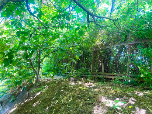 Casa En Venta De 4d En Terreno De 1.038 M2 En Requínoa