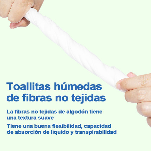 Aileda Trapero Multiuso Desechable Húmedo 12 Hojas Por Paque