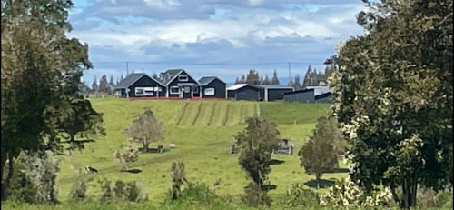 Chiloé Maravillosa Parcela Bosque Nativo 2 Excelentes Casas