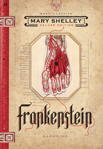Frankenstein, de Shelley, Mary. Editora Darkside Entretenimento Ltda  Epp, capa dura em português, 2017