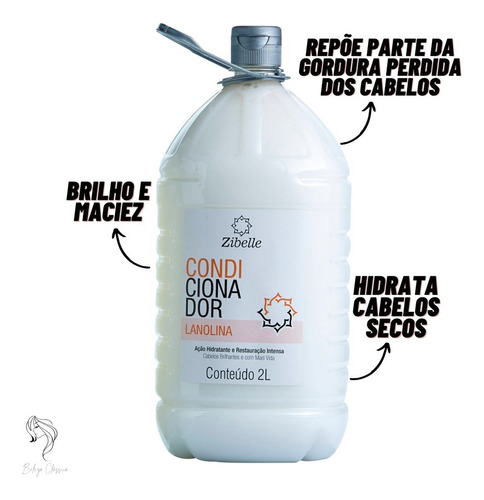 Kit Salão De Beleza Sh.+cond. Zibelle Lanolina 2l