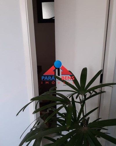 Imagem 21 de 21 de Apartamento - Ap11831 - 34917283