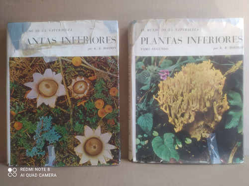 Plantas Inferiores / K. B. Boedijn