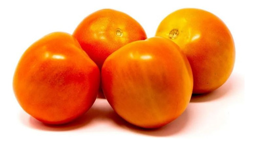 Semillas Tomate Chonto Santa Cruz Planta Jardin Sembrar