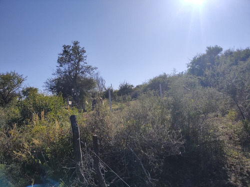 Imagen 4 de 14 de Líquido Lote En Bialet Massé