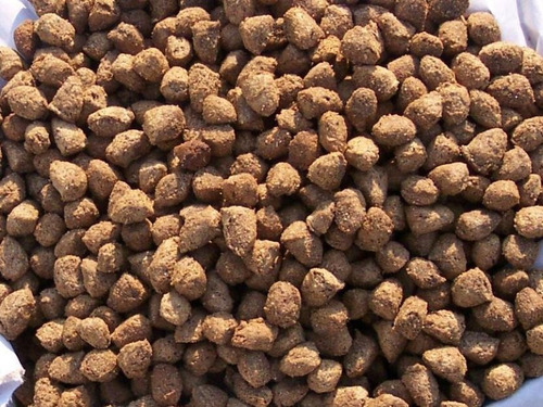 Imagen 8 de 9 de Planta Aba Para Alimentos Balanceados Y Concentrados