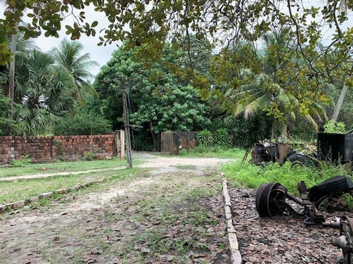 Imagem 18 de 25 de Terreno Para Alugar Na Cidade De Eusebio-ce - L13692