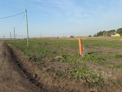 Imagen 6 de 9 de Terreno En Venta En Cañuelas