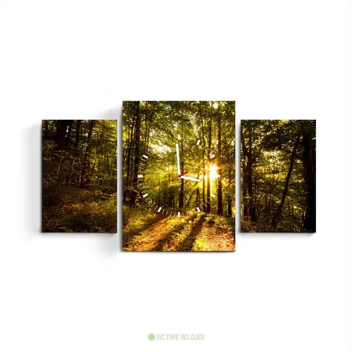 Cuadros De Paisaje Bosque Atardecer MercadoLibre