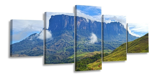 Cuadro Kukenan Tepuy Gran Sabana Multipanel Foto Canvas