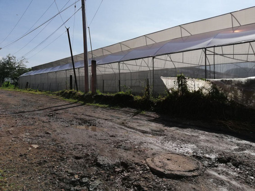 Terreno Urbano En Pedregal De Las Fuentes, Jiutepec, Morelos - Ari-607-tu