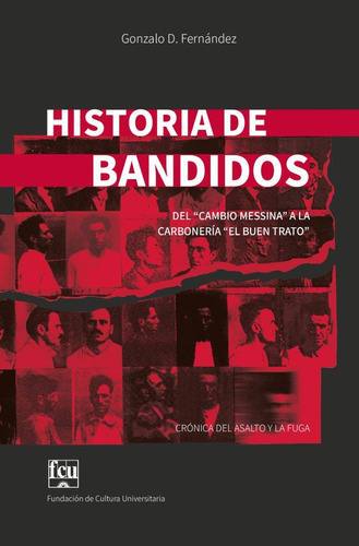 Historia De Bandidos / Gonzalo Fernández (envíos)