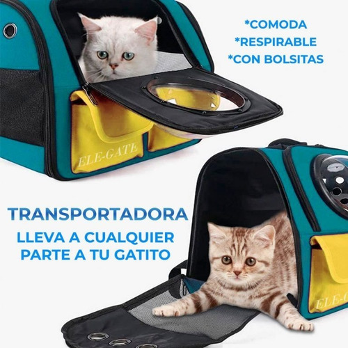 Bolsa Mochila Transportadora Perro Gato Portátil Viaje Ajustable Ergonomica Color Verde