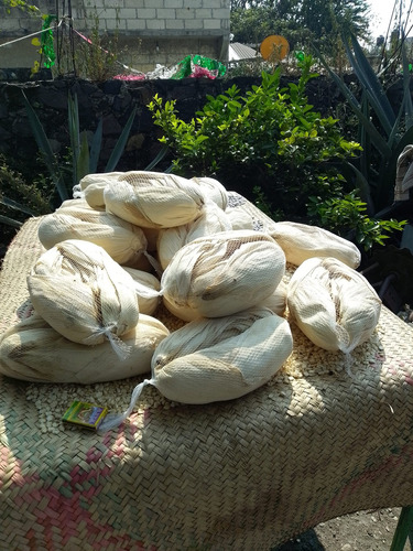 Semilla De Maiz Hojero Y Hoja Para Tamal Temporal Y Riego