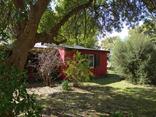 Imagen 7 de 30 de Lindísimo Campo En Veronica, Punta Indio