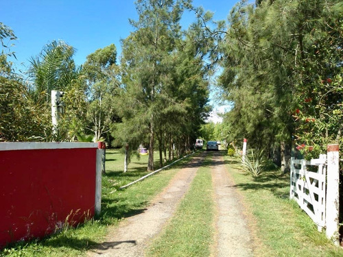 Imagen 1 de 8 de Campo En Venta En Chascomus Con Fondo De Comercio