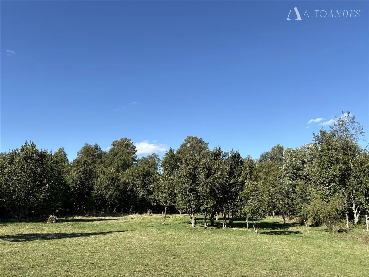 Imagen 4 de 14 de Casa En Arriendo De 2 Dorm. En Villarrica