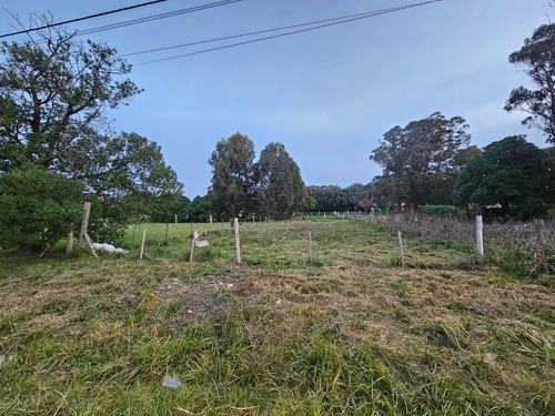 Terreno A La Venta En Playa Los Lobos